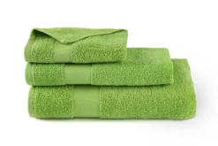 Asciugamano ospite, 100% cotone, verde, 40x60 cm