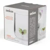 Bicchiere acqua, agrifoglio, natalizio