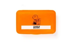 Contenitore portapranzo con posate, charlie brown, arancione