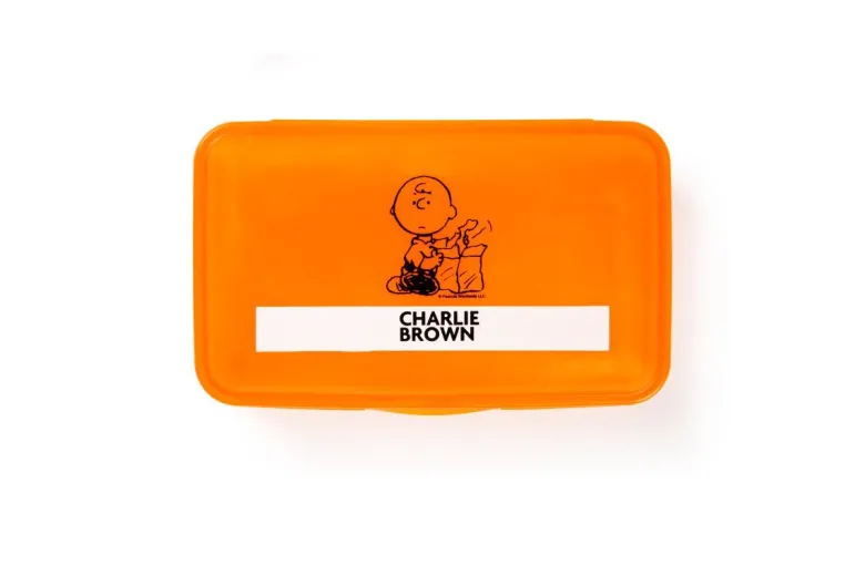 Contenitore portapranzo con posate, charlie brown, arancione