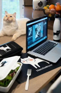 Contenitore portapranzo con posate, gattino, bianco