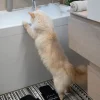Portaspazzolino e dosatore per sapone liquido, grigio