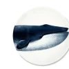 Servizio piatti, animali, ceramica, 12 pezzi