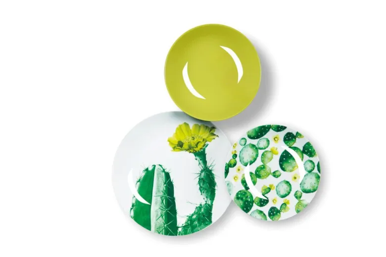 Servizio piatti, cactus, porcellana/stoneware, 18 pezzi