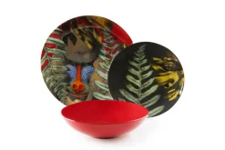 Servizio piatti, madagascar, porcellana/stoneware, 18 pezzi