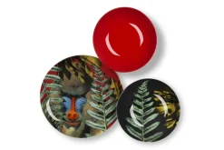 Servizio piatti, madagascar, porcellana/stoneware, 18 pezzi