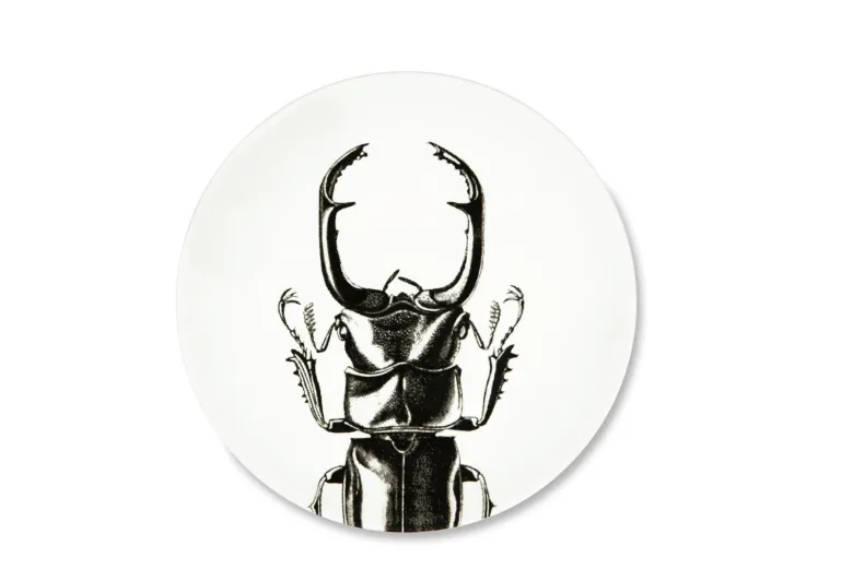 Servizio piatti, nero, insetti, ceramica, 3 pezzi