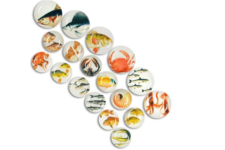 Servizio piatti, pesci/mare, ceramica, 18 pezzi