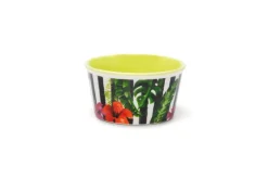 Set 6 ciotole, fantasia tropicale, porcellana
