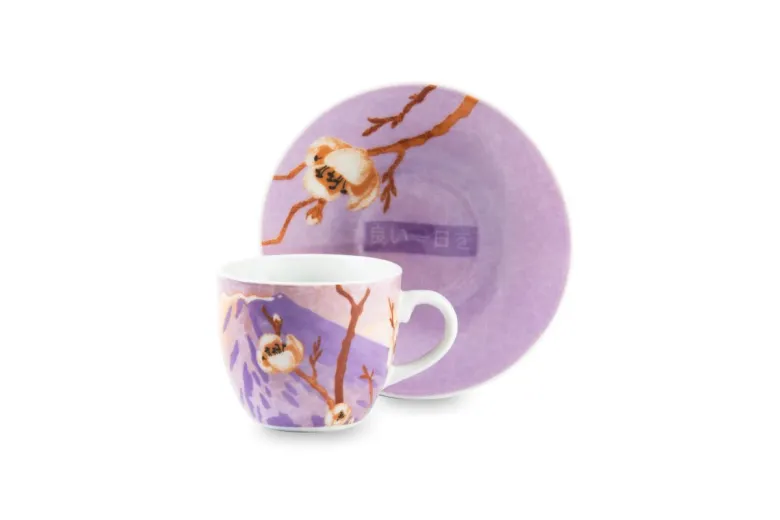 Set 6 tazzine con piattino, stile giapponese, porcellana
