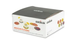 Sottobicchieri, 6 pezzi, ceramica, stile fiori messicani
